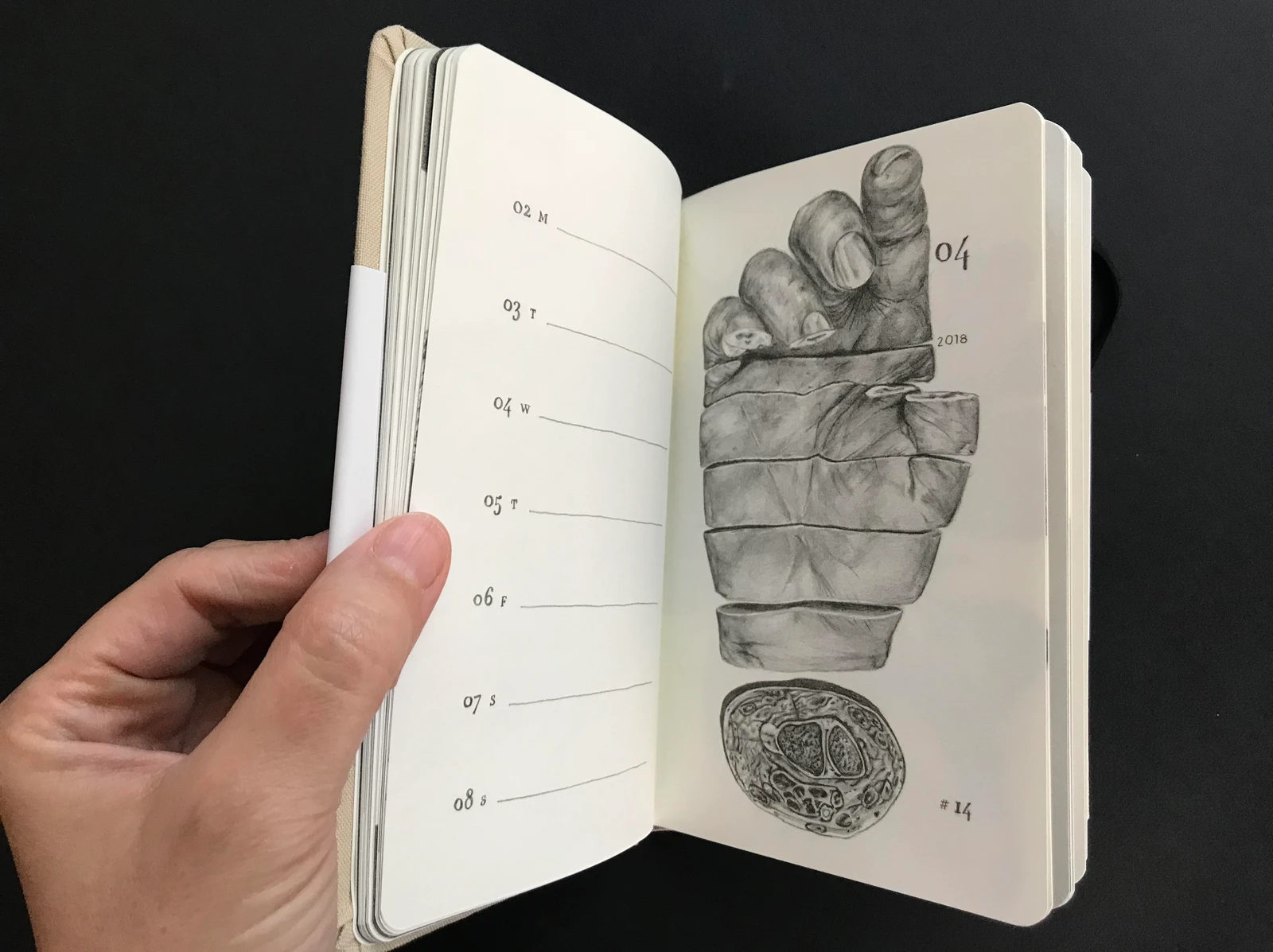 מאיה אטון, 2018 ספר אמן ויומן שבועי, 17X11 סמ (4)